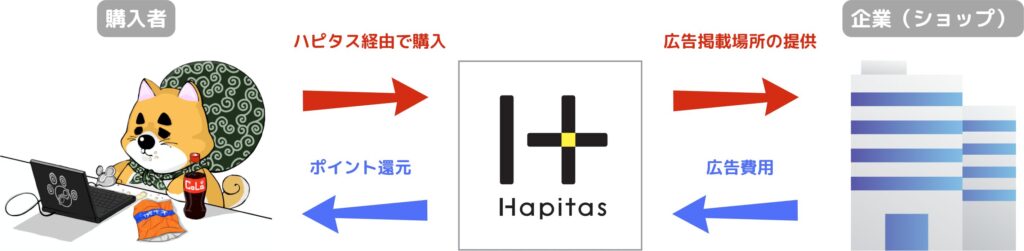 point-site-hapitas-explanation-point-site-cache-flow
