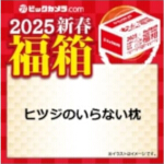 2025-bic-56-the-no-sheep-pillow