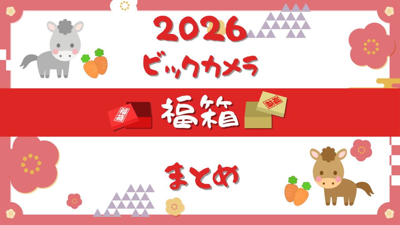 抜けなし　ビックカメラ福箱　2026 インスタントカメラ　ポラロイド 抜けなし ビックカメラ福箱 2026 インスタントカメラ ポラロイドの通販