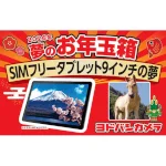 ぐうてるブログ | 2026年 ヨドバシカメラ福袋 夢のお年玉箱 予想＆開封